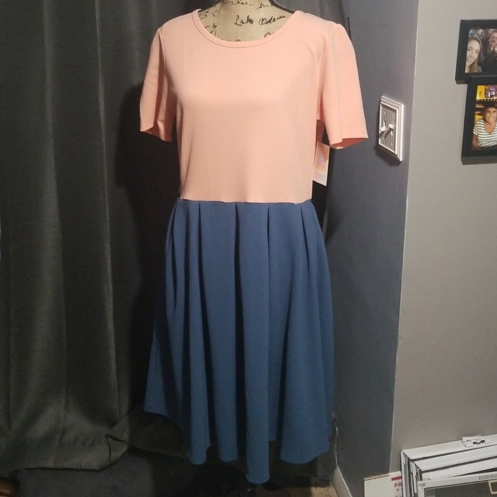 2XL Colorblock Amelia Dress